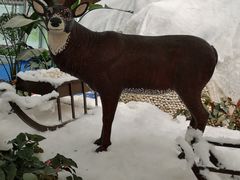 -兰陵国家农业公园