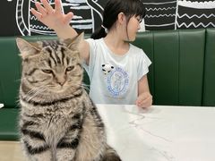-安格丽娜·狗咖·猫咖羊驼咖(春熙路百盛商场店)