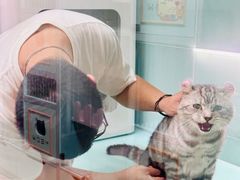 -猫宠乐园·专业洗护
