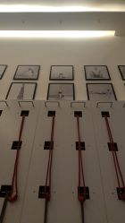 -成都阿难陀艾扬格瑜伽中心