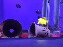 -海合安武汉极地海洋公园