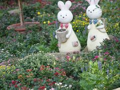 -共青国家森林公园-售票处