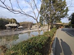 -宁波野生动物园