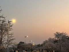 -羊山湖公园