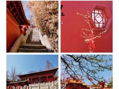 -沂蒙山旅游区云蒙景区(蒙山国家森林公园)