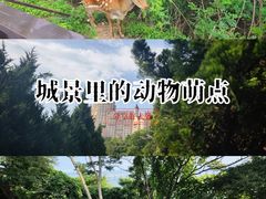 -海味当家·蒸锅海鲜(中山广场创始店)