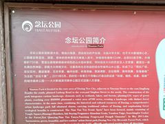 -大兴滨河森林公园