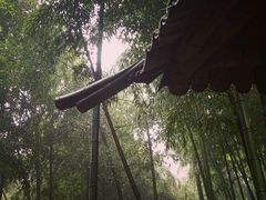 -会稽山峡洞漂流-上青古道