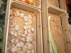 -1861意大利餐厅(文化广场店)