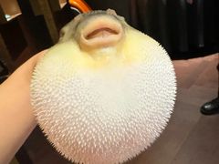 -肆月河豚·淮扬菜·湘菜(华天店)