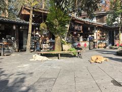 -青城甲(青城山店)