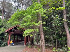 -金水泊山庄·花椒鸡(铁山坪店)