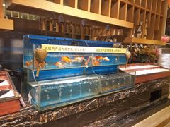 -芭菲盛宴·环球美食(袁家岗店)