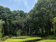 -苏州河梦清园环保主题公园