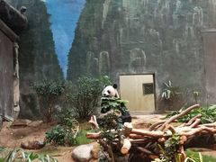 -香港海洋公园