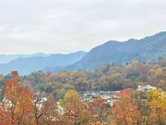 -塔川景区