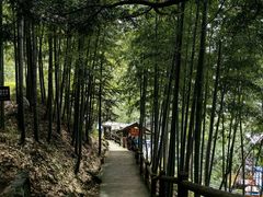 -藏龙百瀑风景区