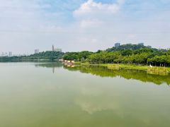 -顺峰山公园