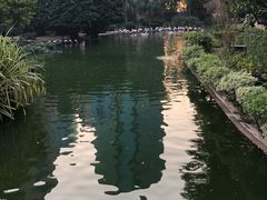-九龙公园