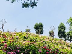 -成都中医药大学(温江校区)