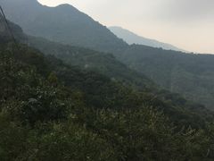 -阳台山自然风景区