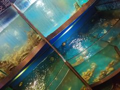 -云顶旋转自助景观餐厅