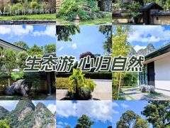 -明仕田园