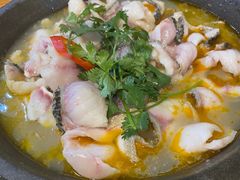 大鼎石锅鱼-大鼎石锅鱼(春江里店)