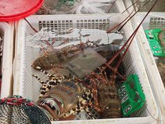 -外伶仃岛海鲜市场