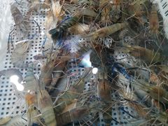 -盒马鲜生(馥邦国际店)