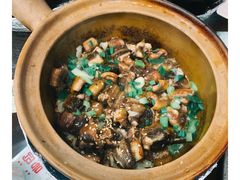 -红星光发煲仔饭(文海店)