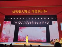 -刘老根大舞台-长春旗舰店