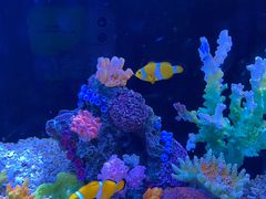 -秦皇岛新澳海底世界