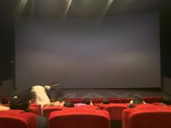 -万达影城(IMAX激光铁西万达广场店)