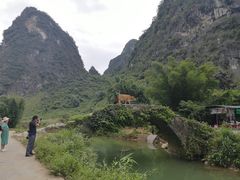 -银峰农庄·特色烧鸡·鲜无花果浸鸡