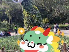 -深圳仙湖植物园
