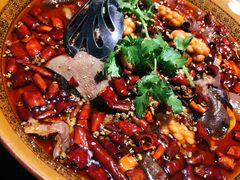 水煮毛血旺-蜀都丰 川菜·水煮活鱼(万象九宜城店)