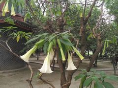 -四川大学(华西校区)