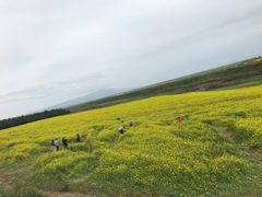 -扁都口生态休闲旅游区