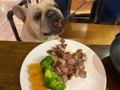 -百好乐宠物友好餐厅(朝外大街店)