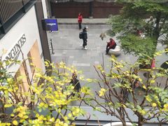 -星巴克臻选(成都太古里店)