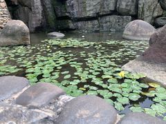 -明月山天沐温泉度假村