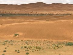 -沙漠世界地质公园