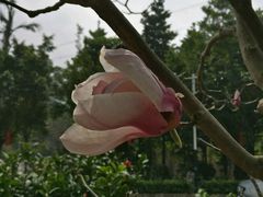 -广州市帽峰山景区