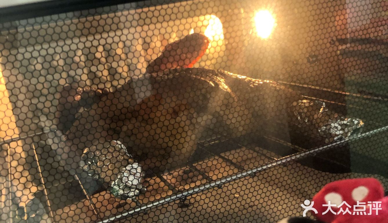 首先买一只三黄鸡让人家帮忙收拾了 鸡爪子鸡头屁股都不要