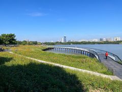 -海珠湖公园