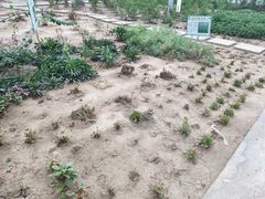 -江天生态园餐厅