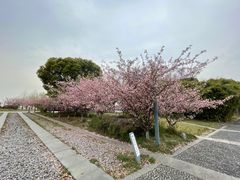 -苏州东太湖生态园