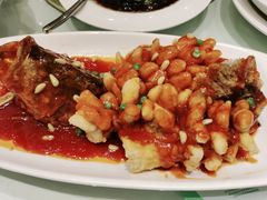 松鼠桂鱼-金时代顺风大酒店(金山店)