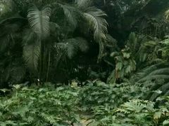 -龙达温泉生态城